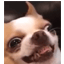 Server favicon of phaseprison.org
