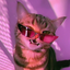 Server favicon of n4.joinserver.ru:25718