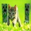Server favicon of cookiecraft.my.pebble.host