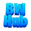 Server favicon of bwhub.net