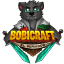 Server favicon of bobicraft.net