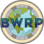 Server favicon of brokenworldrp.com