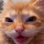 Server favicon of play.craftgasm.xyz