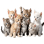 Server favicon of 188.127.241.195:25592
