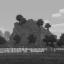 Server favicon of 84t.org:12345