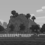 Server favicon of blizzardmc.org
