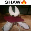 Server favicon of 158.69.5.18:25609